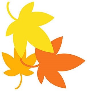 ー11月のイベント情報ー
