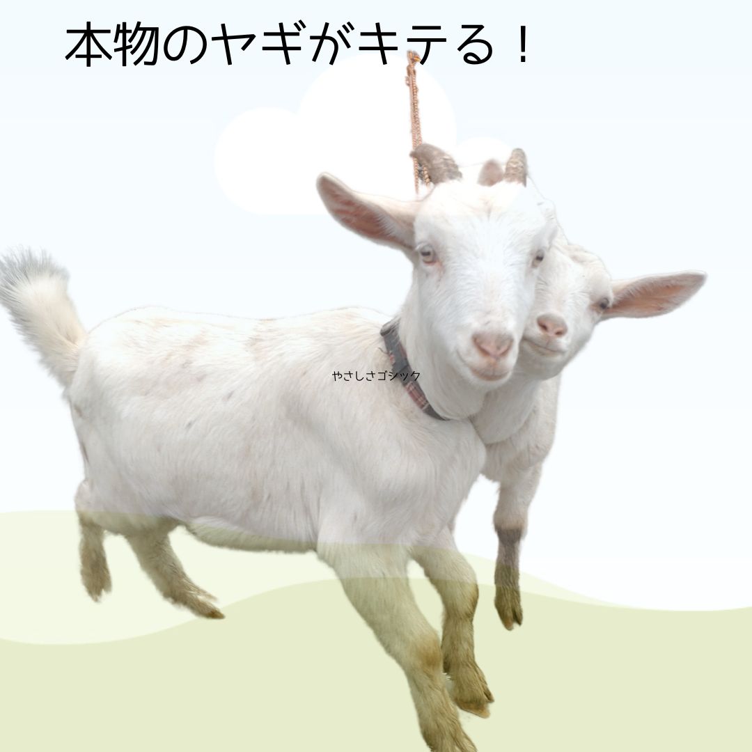 【イベント】お陽さまサンサン分譲地　アイフルホームタウン上柏で『縁日まつり』開催！！