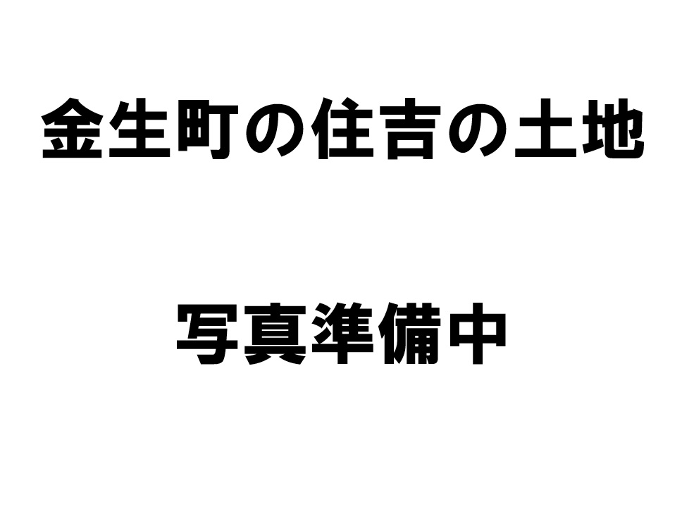 （土地）金生町下分（住吉）