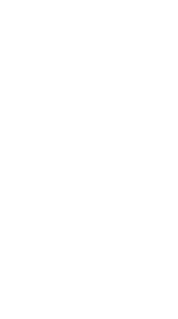 大きな柱のある家